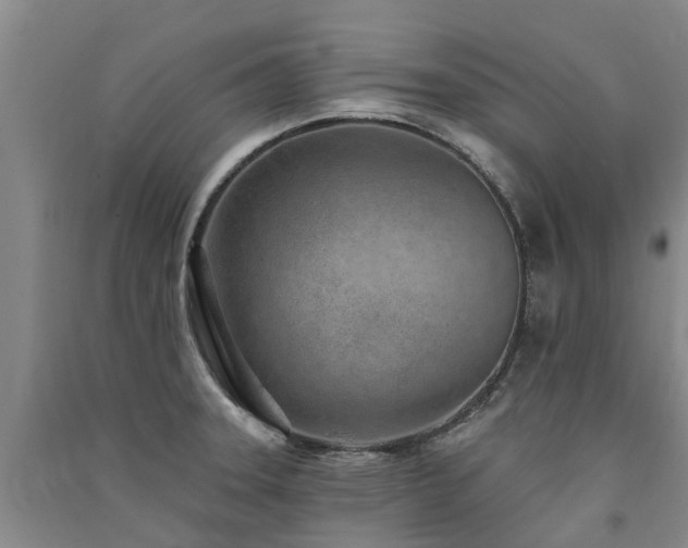 X0000091561331200708171318