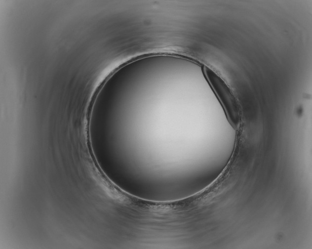 X0000091561332200708171318