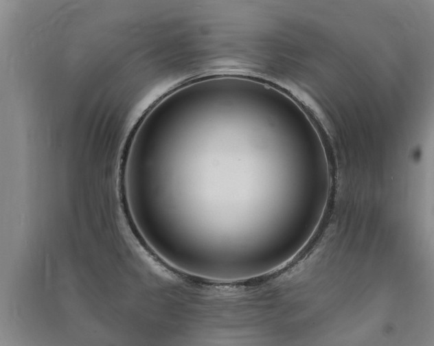 X0000091561333200708171318