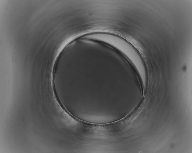 X0000091561334200708171318