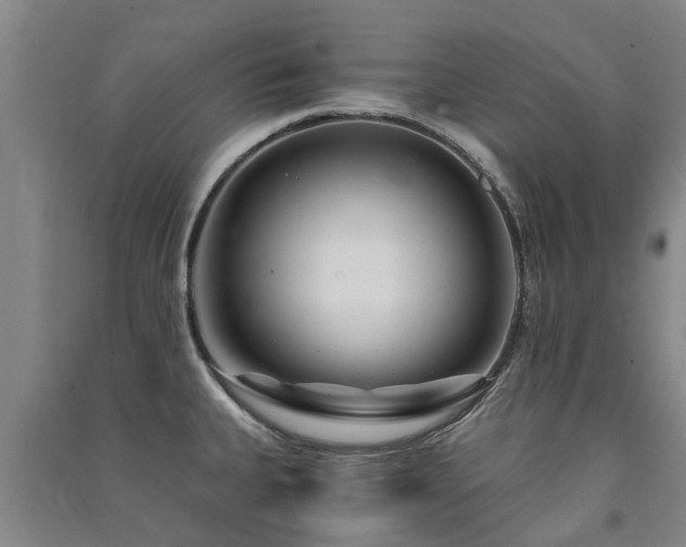 X0000091561335200708171318