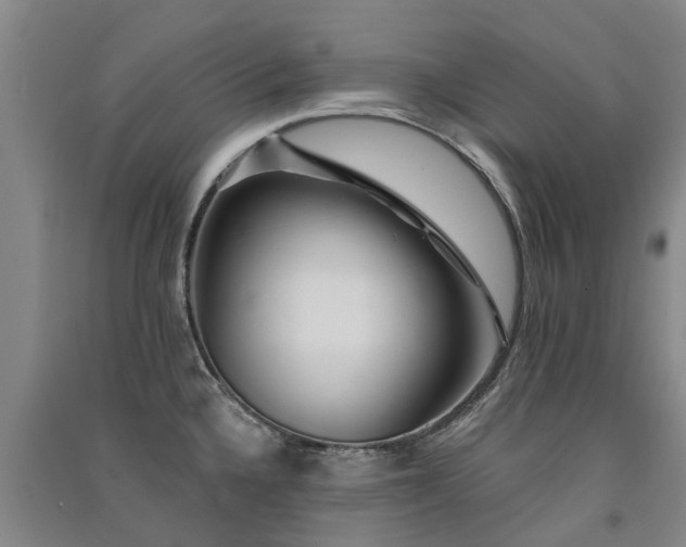 X0000091561336200708171318