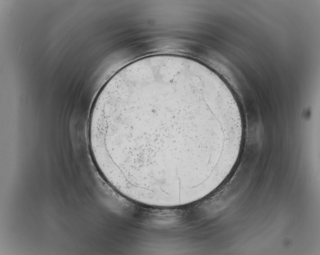 X0000091561338200708171318