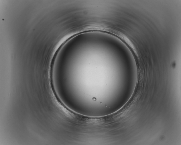 X0000091561339200708171318