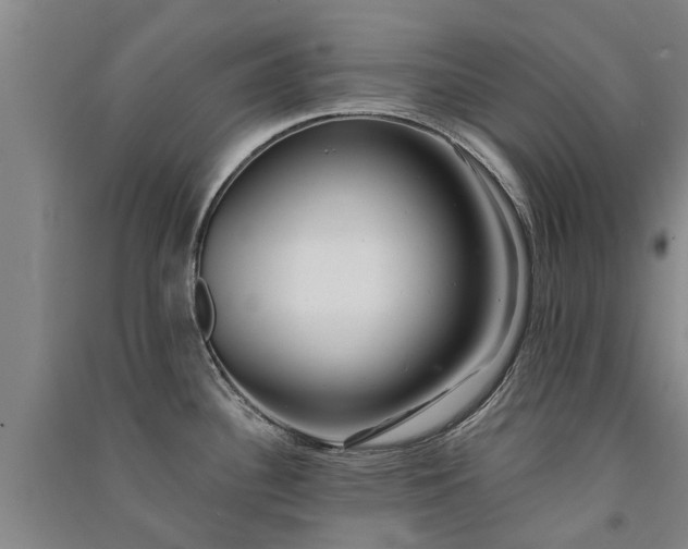 X0000091561340200708171318