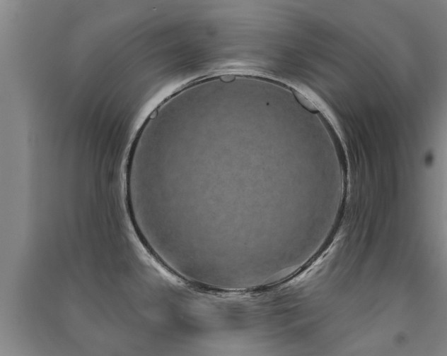 X0000091561341200708171318