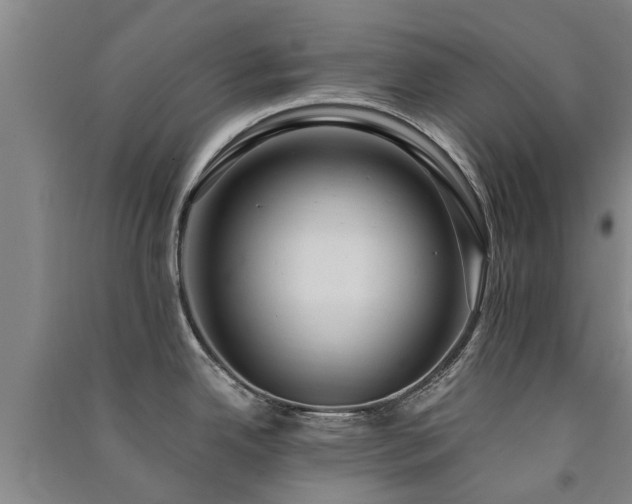 X0000091561342200708171318