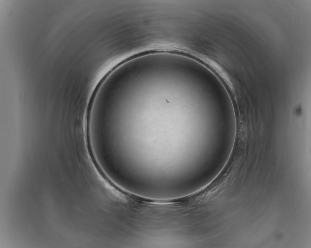 X0000091561343200708171318