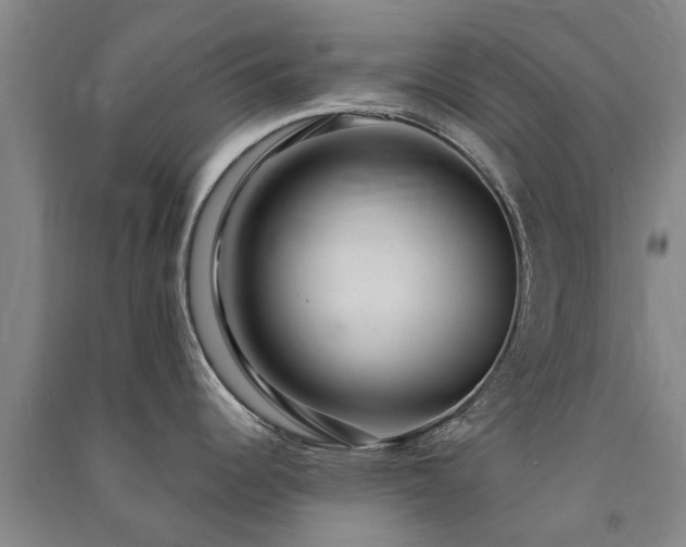 X0000091561344200708171318