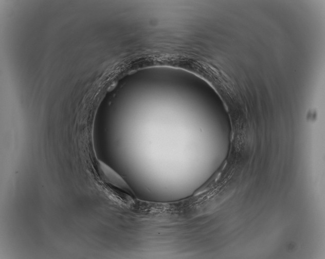 X0000091561345200708171317