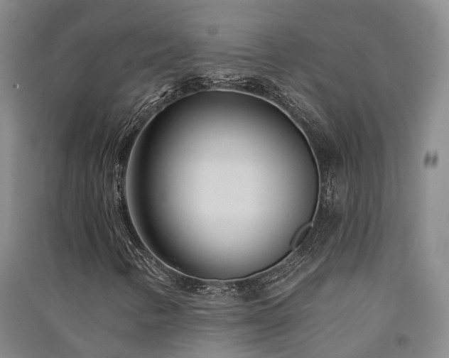 X0000091561346200708171317