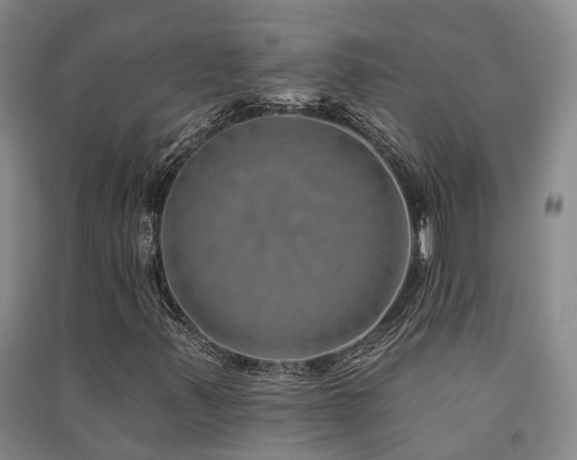 X0000091561347200708171317