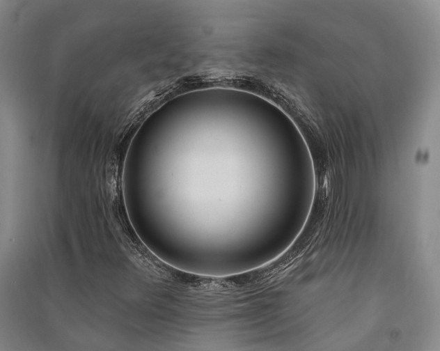 X0000091561348200708171317