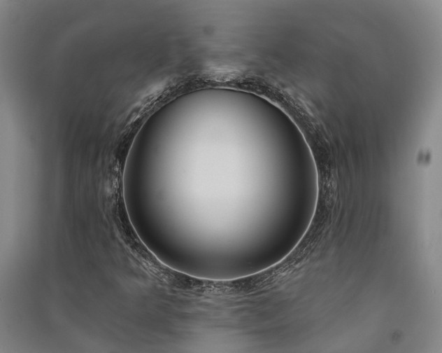 X0000091561349200708171317