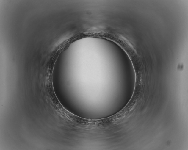 X0000091561350200708171317