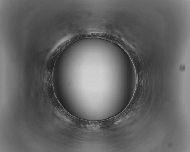 X0000091561351200708171317