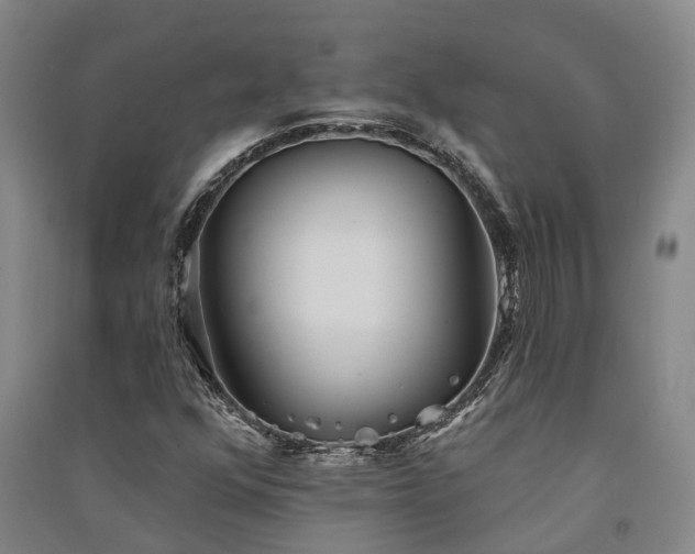 X0000091561352200708171317