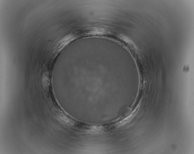 X0000091561353200708171317