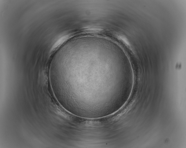 X0000091561354200708171317