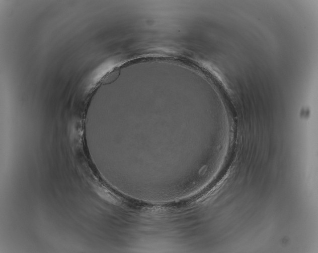 X0000091561355200708171317