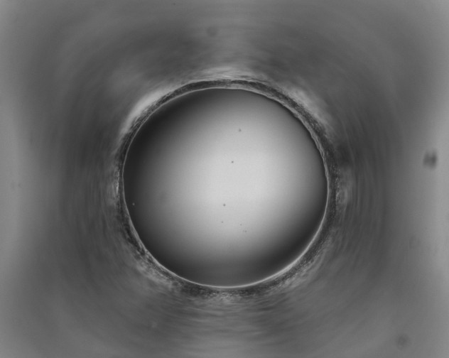 X0000091561358200708171317