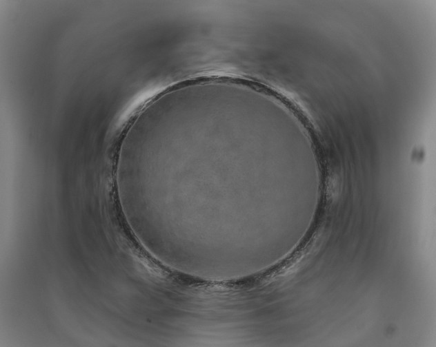 X0000091561359200708171317