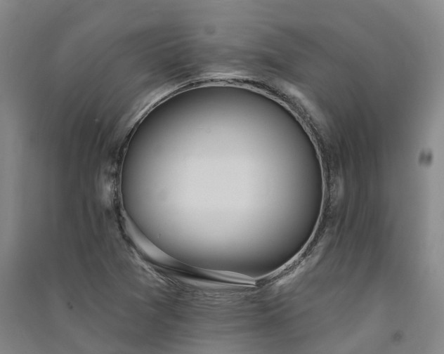 X0000091561361200708171317