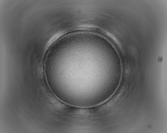 X0000091561362200708171317