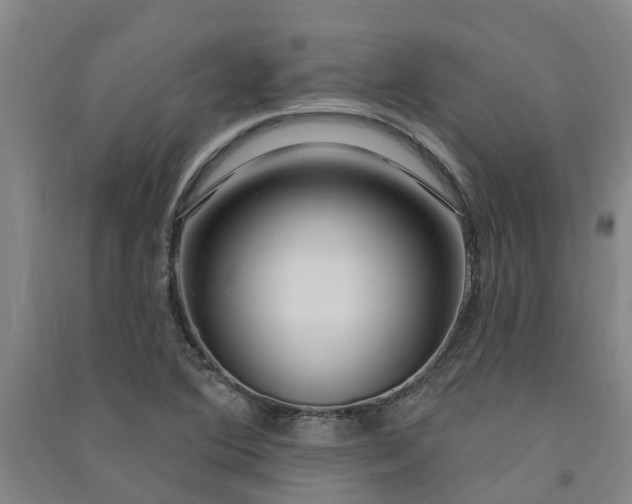 X0000091561364200708171317