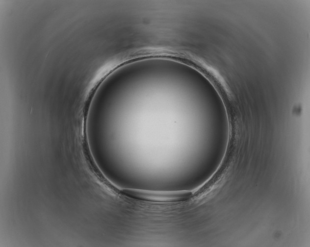 X0000091561365200708171317