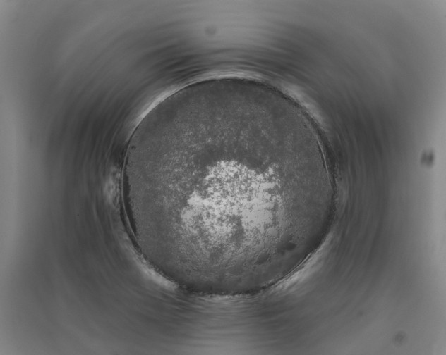 X0000091561369200708171317