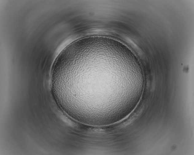 X0000091561370200708171317