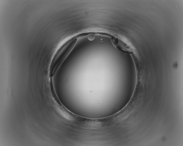 X0000091561372200708171317