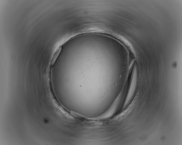 X0000091561373200708171317