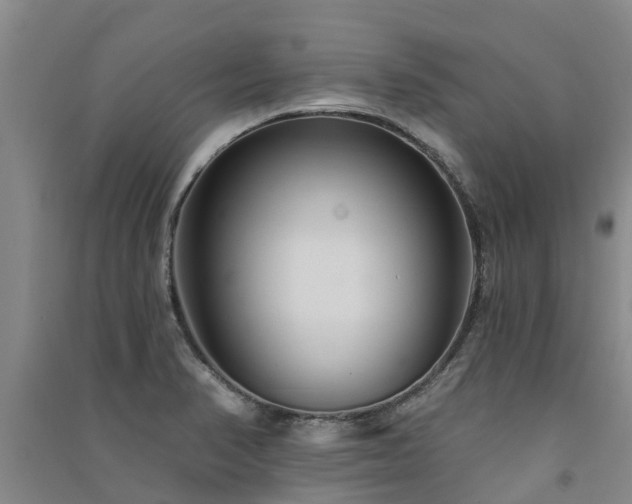 X0000091561374200708171317