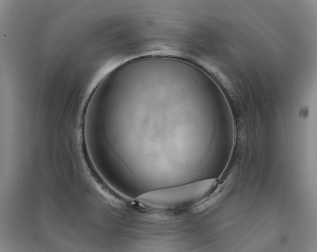 X0000091561375200708171317