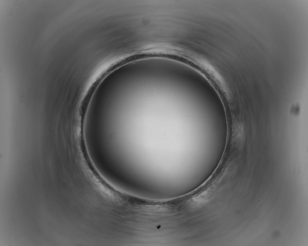 X0000091561376200708171317