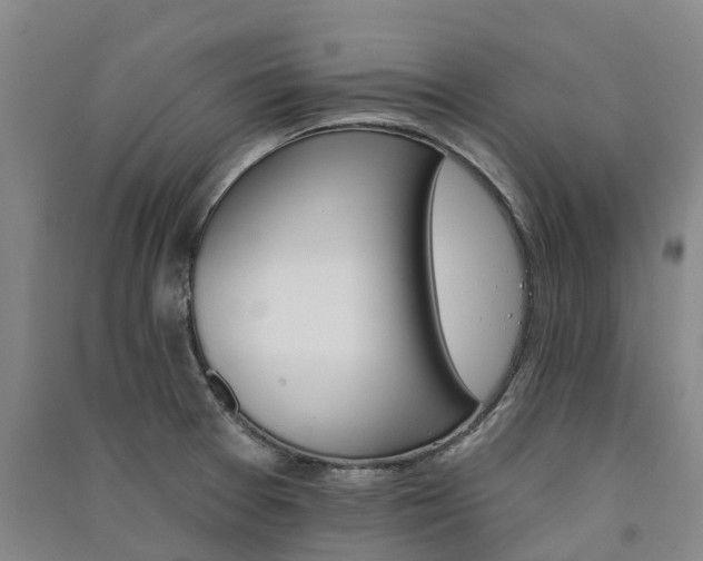 X0000091561377200708171317