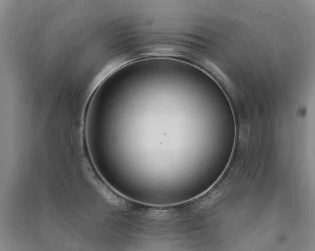 X0000091561378200708171317