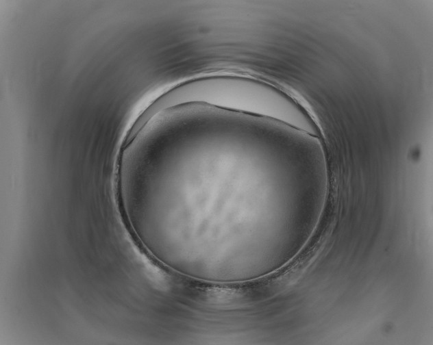 X0000091561379200708171317