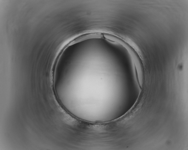 X0000091561380200708171317