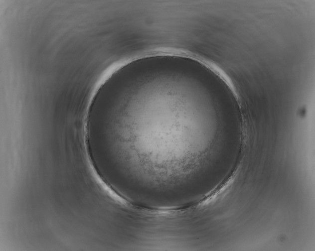 X0000091561381200708171317