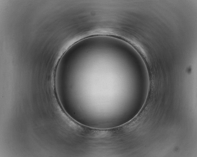 X0000091561382200708171317