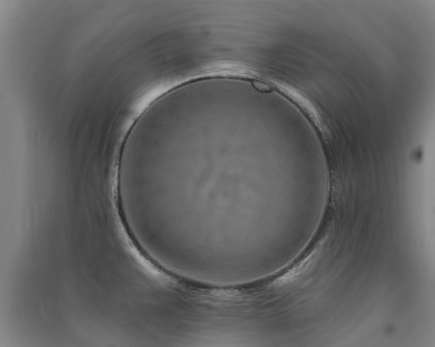 X0000091561383200708171317