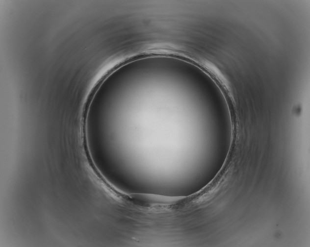 X0000091561384200708171317