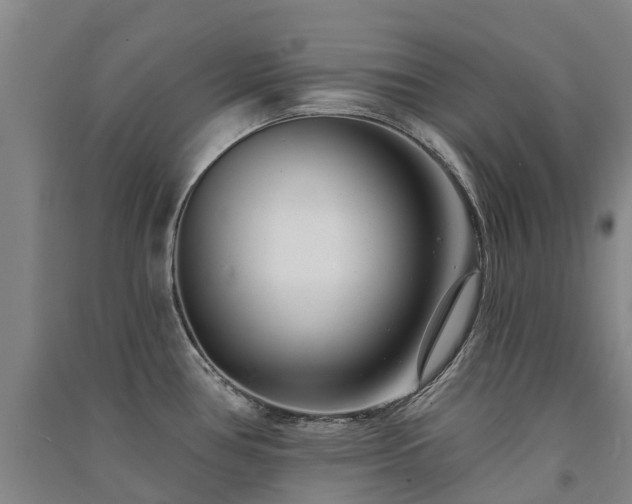 X0000091561386200708171316