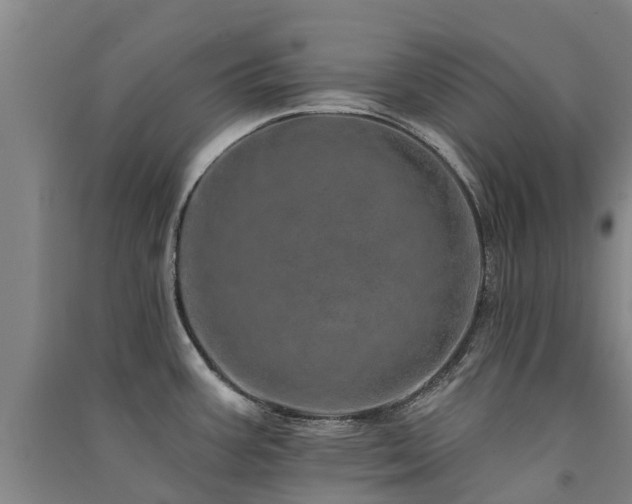 X0000091561387200708171316