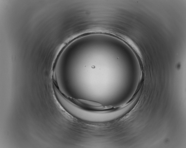 X0000091561388200708171316