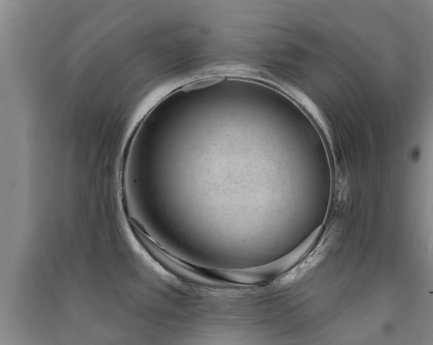 X0000091561389200708171316