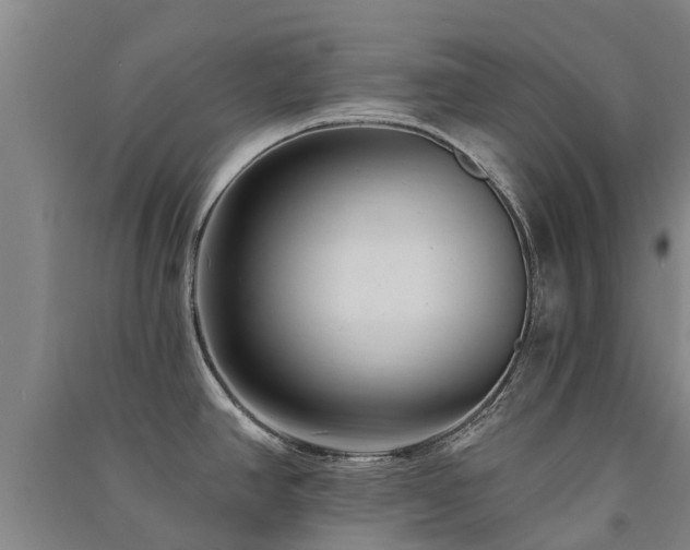 X0000091561390200708171316